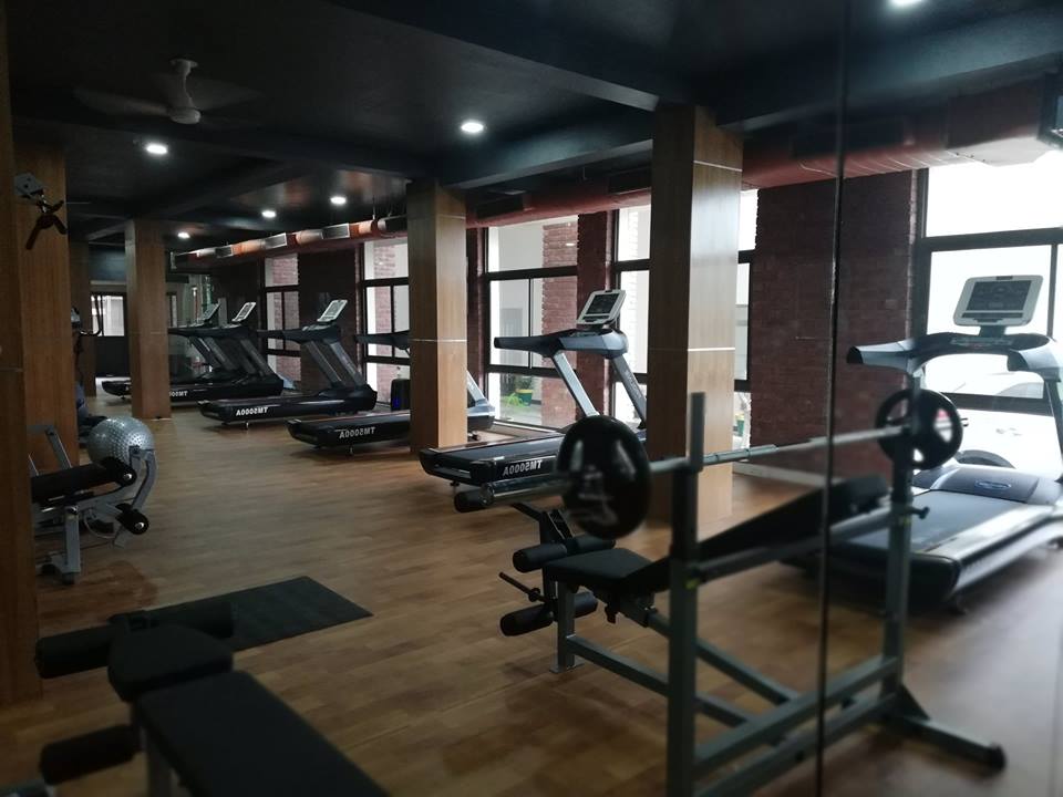 Album Gallery